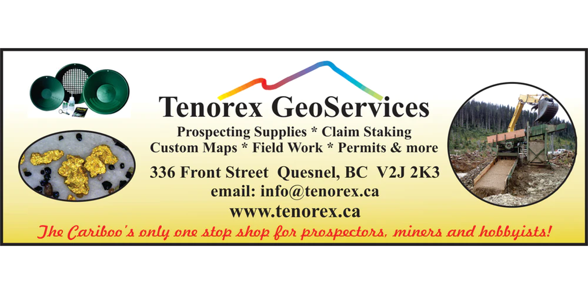 Tenorex GeoServices logo