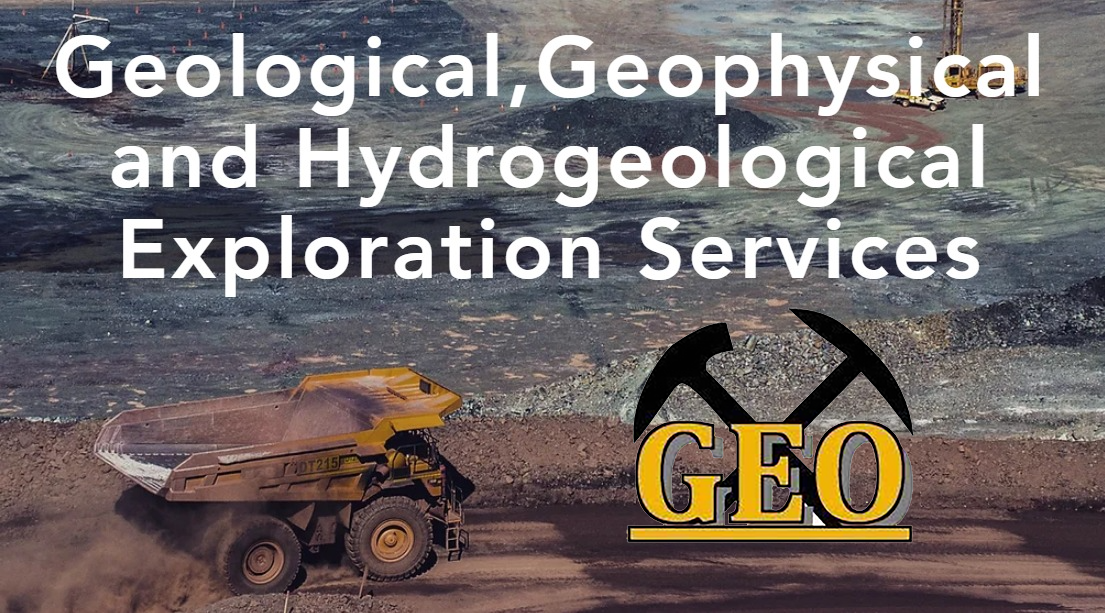 GeoXplore Surveys Inc logo