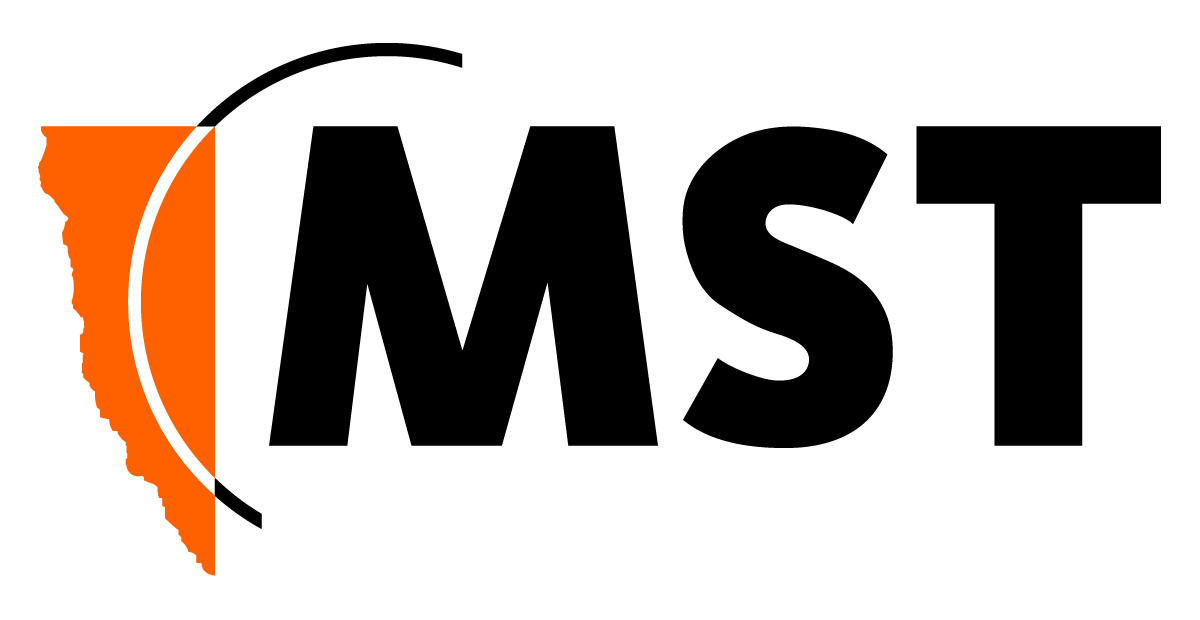 MST Global logo