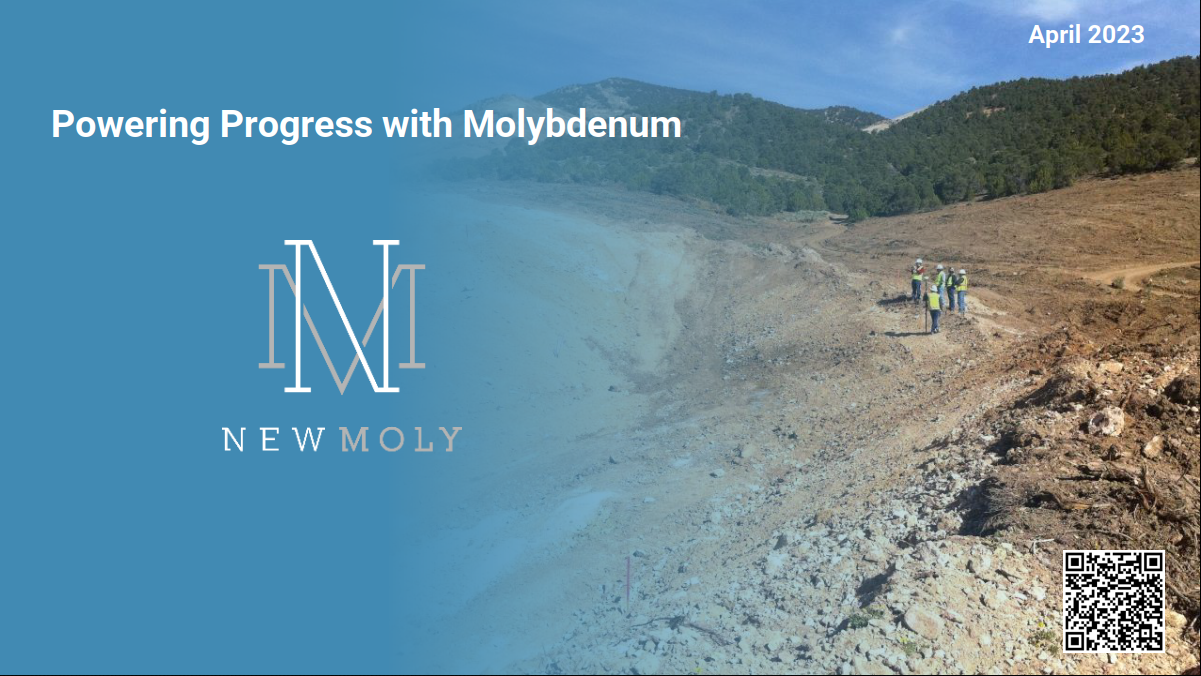 New Moly LLC logo