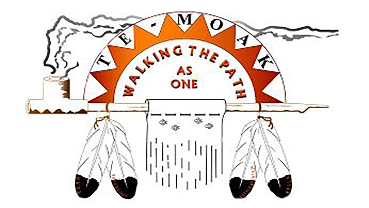 Te Moak Tribe of Western Shoshone Indians logo