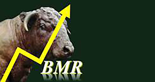 Bull Market Run logo